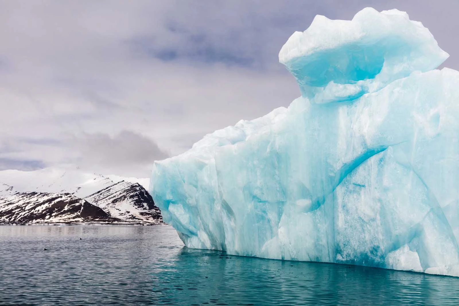 Around Spitsbergen, in the Icy Realm of the Polar Bear | Antarctica Tours