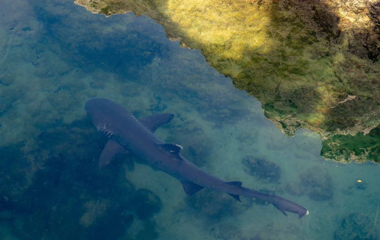 Santa Cruz & Isabela Highlights | Itinerary | Galapagos Tours Santa Cruz & Isabela Highlights | Itinerary | Galapagos Tours