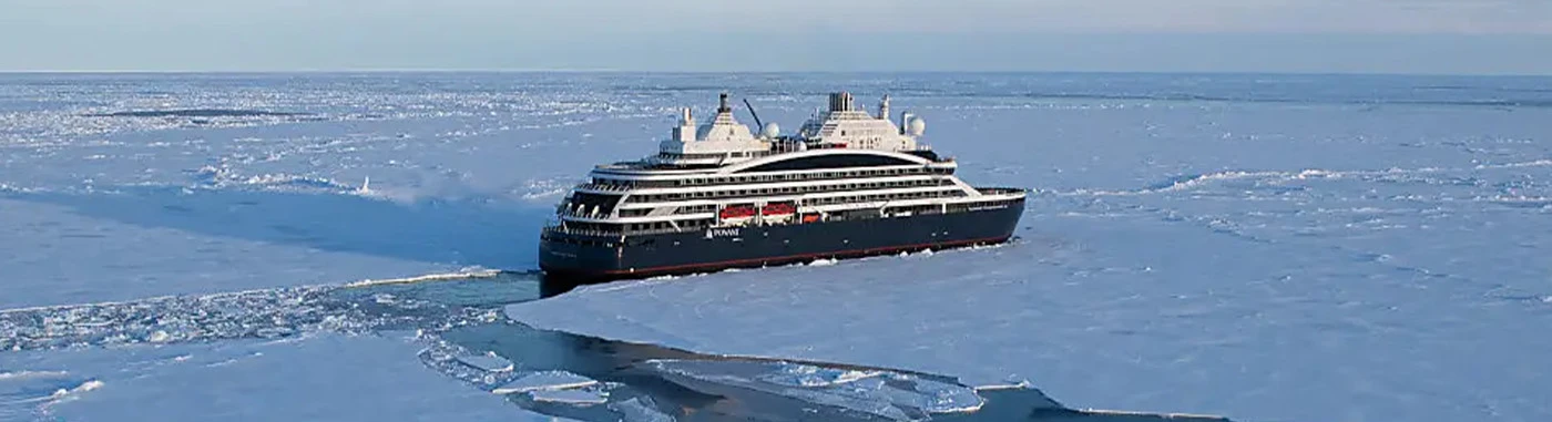 The Emperor Penguins of Weddell Sea | Antarctica Tours The Emperor Penguins of Weddell Sea | Antarctica Tours