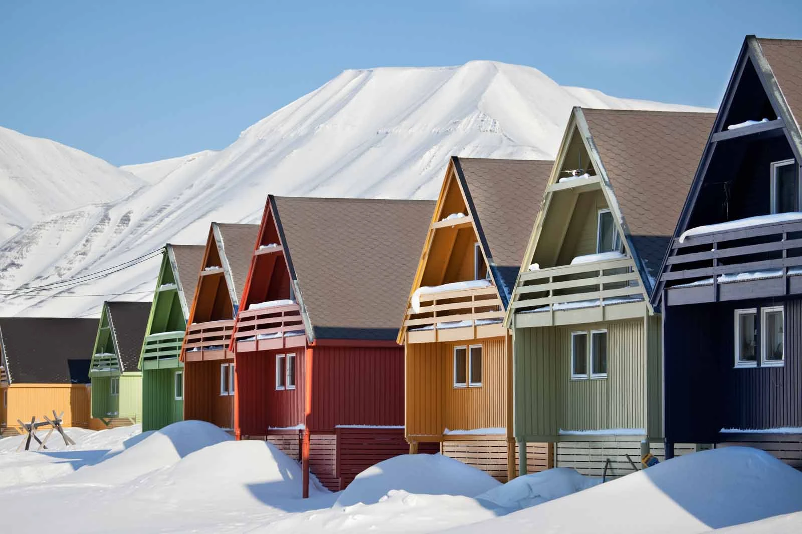 Svalbard: In Search of Iconic Arctic Wildlife | Arctic Tours Svalbard: In Search of Iconic Arctic Wildlife | Arctic Tours
