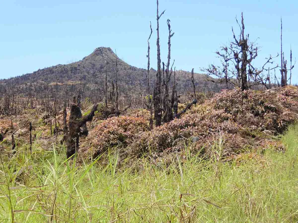 Exploring Galápagos + Machu Picchu and Peru's Land of the Inca - Cruise Tour | Galapagos Cruise Tours