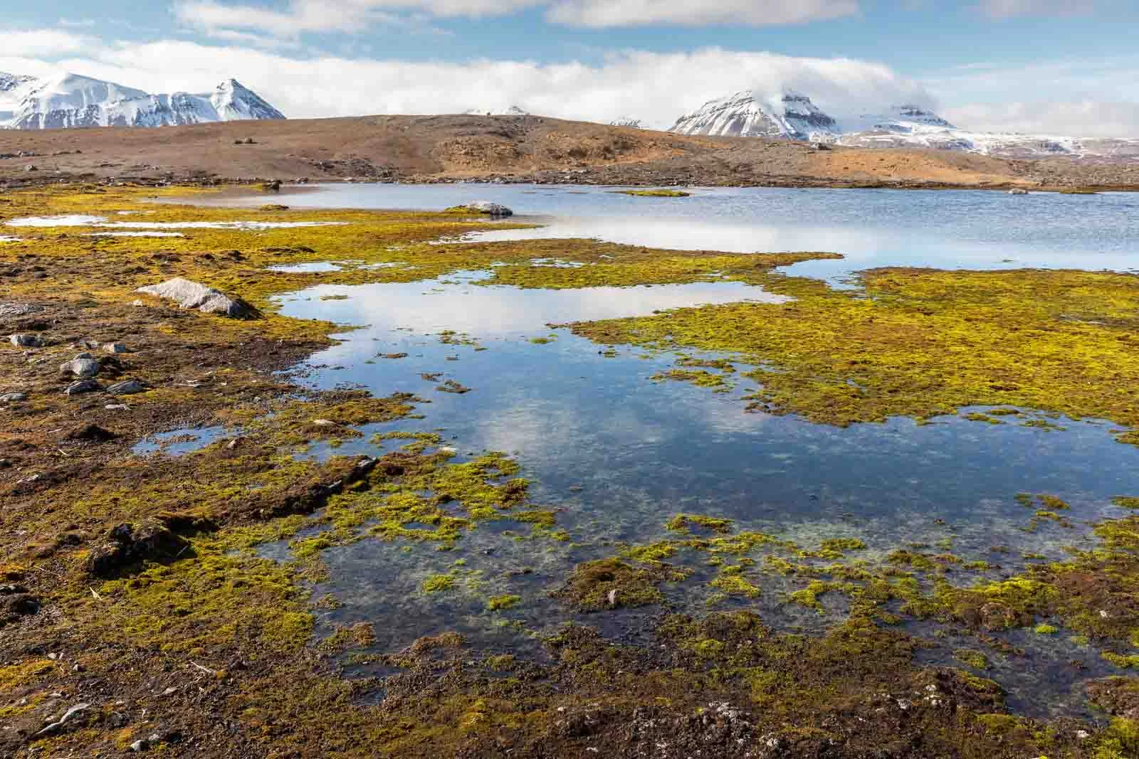 Svalbard Circumnavigation: The Ultimate Arctic Quest | Arctic Tours