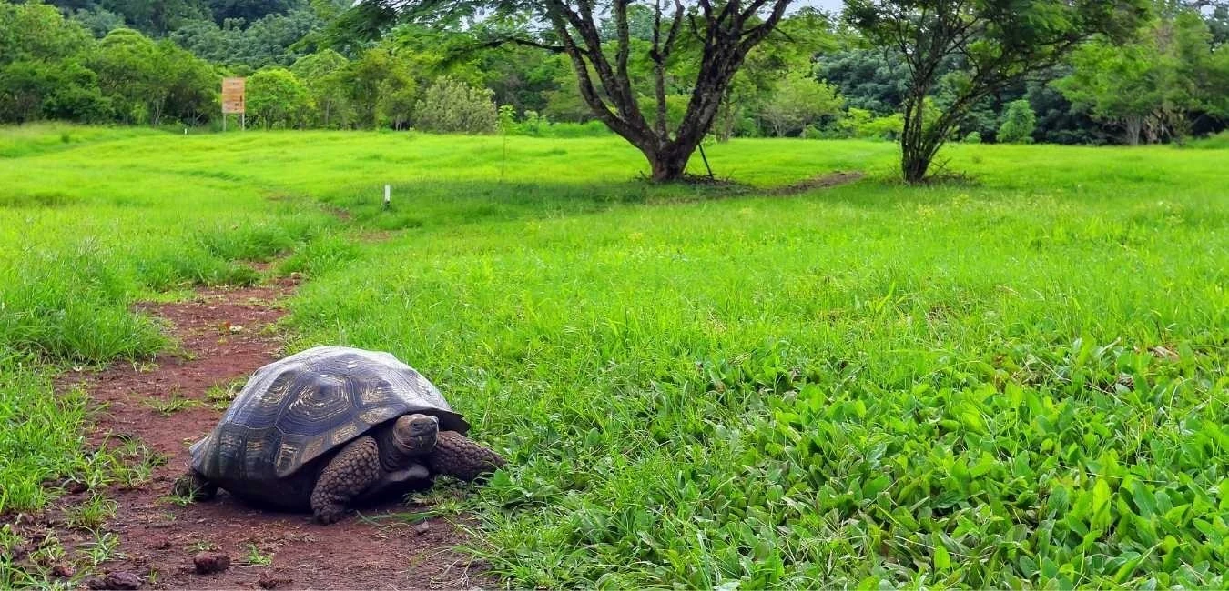 Galapagos Discovery Tour | Itinerary | Galapagos Tours