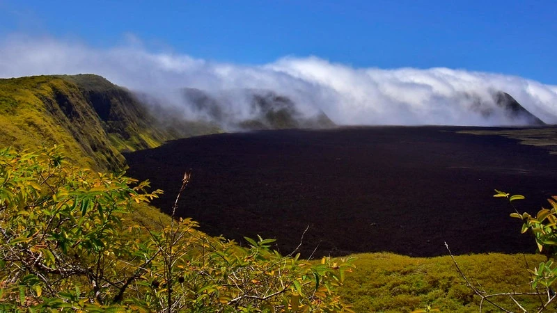 Galapagos Western Wonders 5-Day: Isabela & Santiago - Cruise Tour | Galapagos Cruise Tours Galapagos Western Wonders 5-Day: Isabela & Santiago - Cruise Tour | Galapagos Cruise Tours