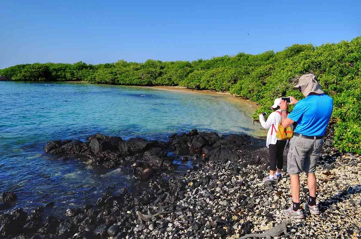 Isabela and Santa Cruz | Itinerary | Galapagos Tours Isabela and Santa Cruz | Itinerary | Galapagos Tours