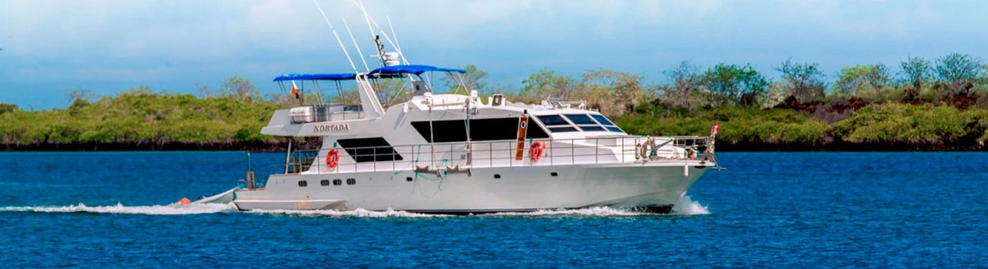 Galapagos diving cruise - Nortada Yacht | Galapagos Cruise Tours Galapagos diving cruise - Nortada Yacht | Galapagos Cruise Tours