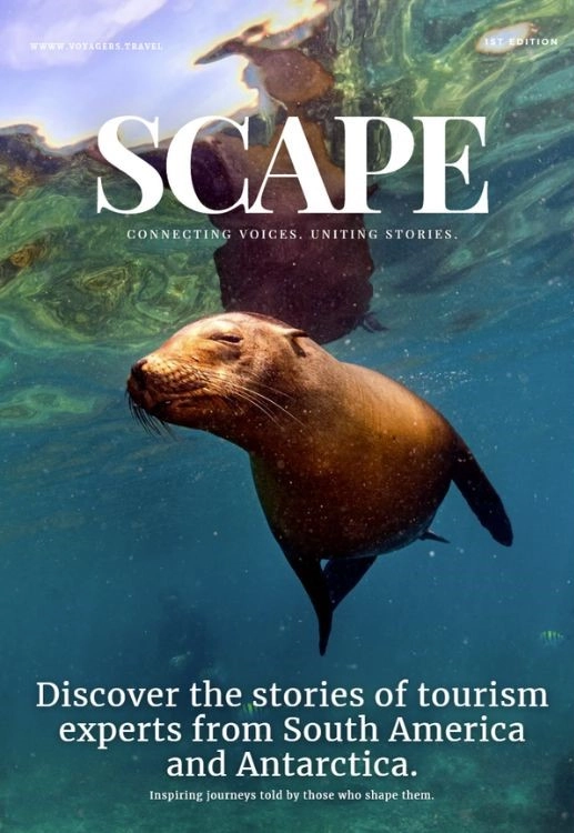 Scape Connecting Voices, Uniting Stories, Magazine