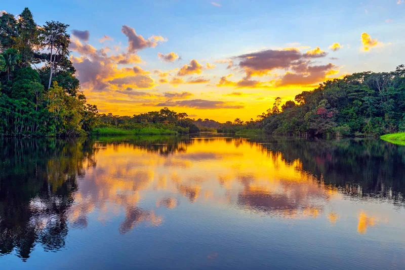 Amazon Rainforest