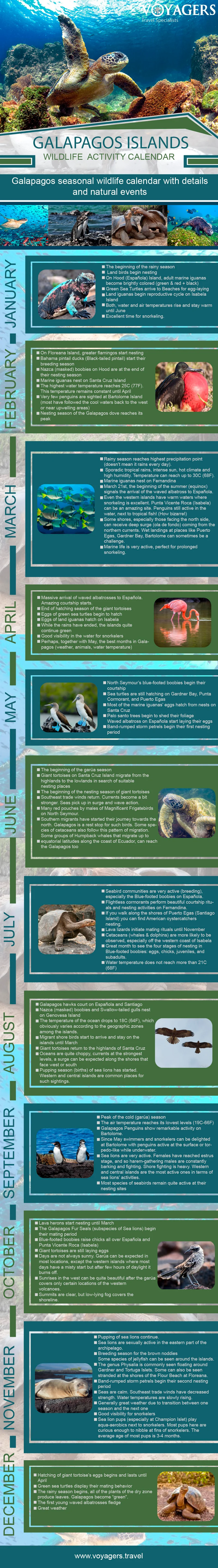Wildlife Calendar