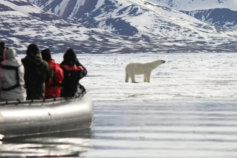 Zodiac Cruising, Hiking, and More Zodiac Cruising, Hiking, and More