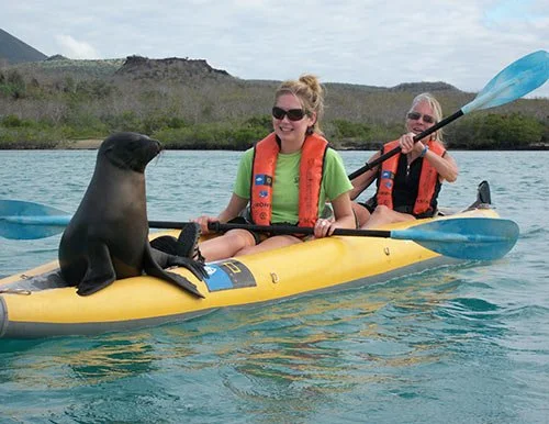 Kayaking in Galapagos Islands Kayaking in Galapagos Islands