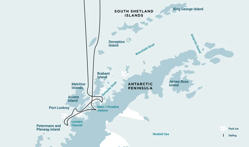 Antarctica - Whale watching