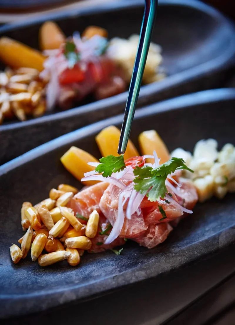 Amantica Lodge | Gourmet Meal