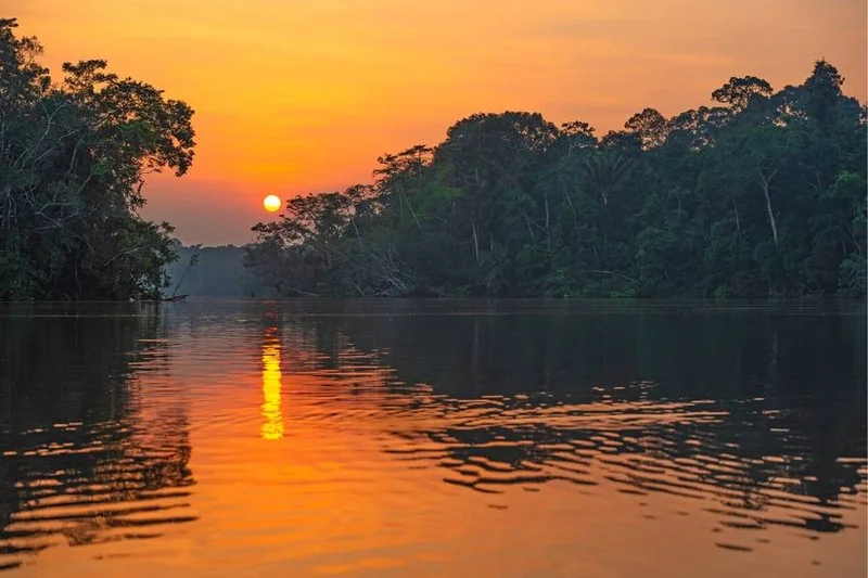 Amazon Rainforest | Peru | South America