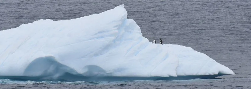Discover Antarctica: A Journey to Earth's Last Frontier