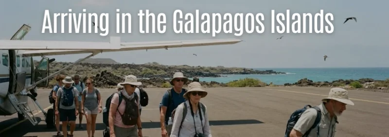 Discover the Extraordinary Galapagos Islands Experience