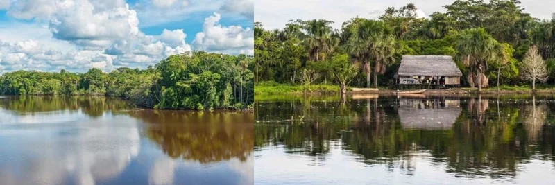 BioRest expands its restoration program in the Peruvian Amazon.