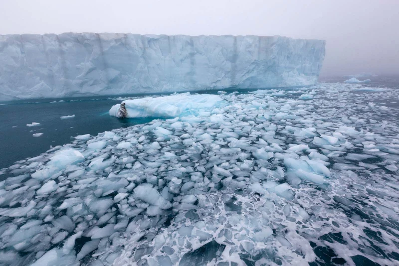 Brasvellbreen | Spitsbergen |  Antarctica