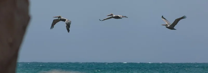 Inkaterra Cabo Blanco Announces 2026 Opening on Peru’s Pacific Coast