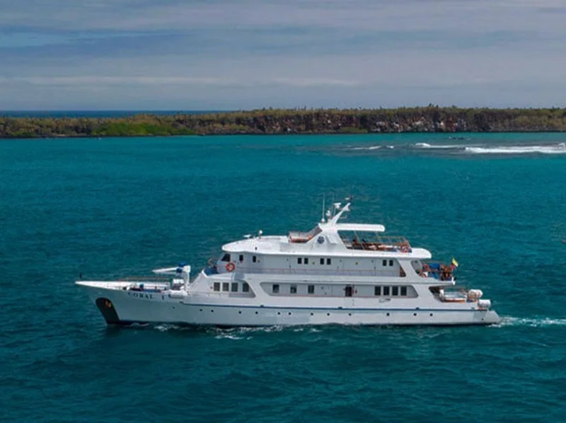 Coral I & II |  galapagos Cruise