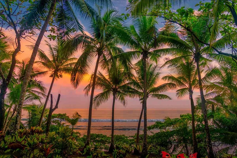 Corcovado | Costa Rica