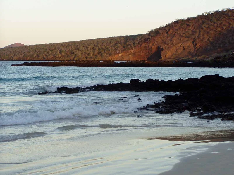 Discover Wild Galapagos 8-Day: West Islands
