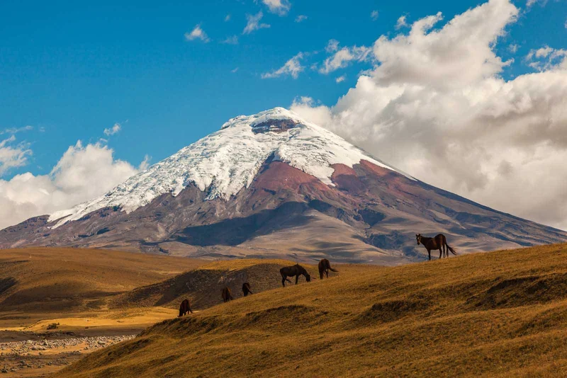 Cotopaxi National Park | Ecuador | South America
