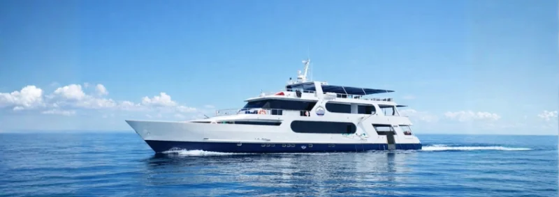 Explore Galapagos: Unforgettable Diving Adventures