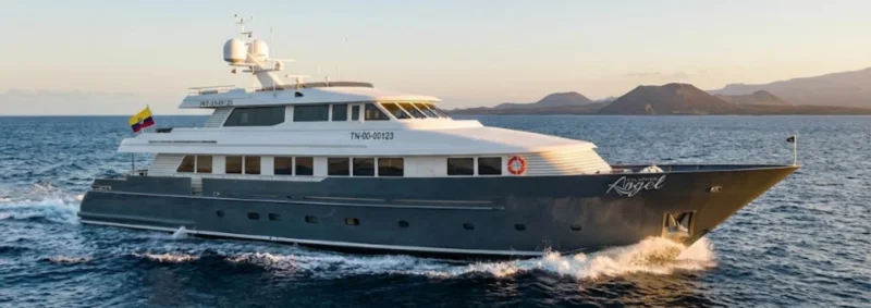 Galapagos Islands Charter: Wildlife, Seasons and Yachts