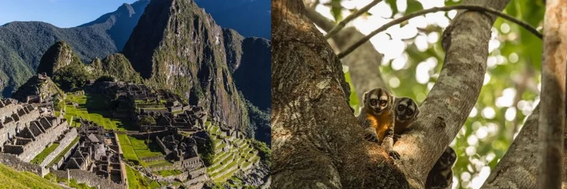 Discover Northern Peru: Hidden Archaeological Gems