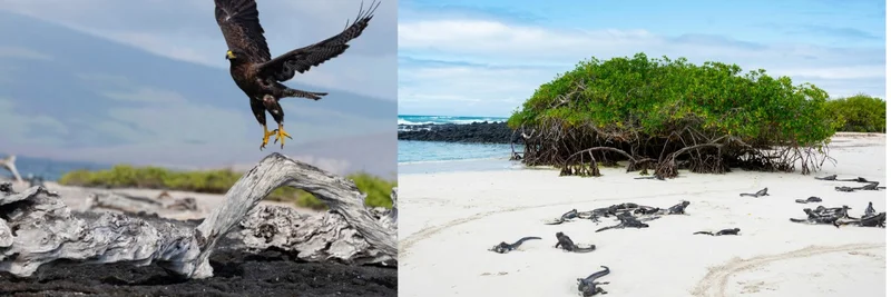 Ecuador's Sustainable Air Connectivity to Galápagos Islands