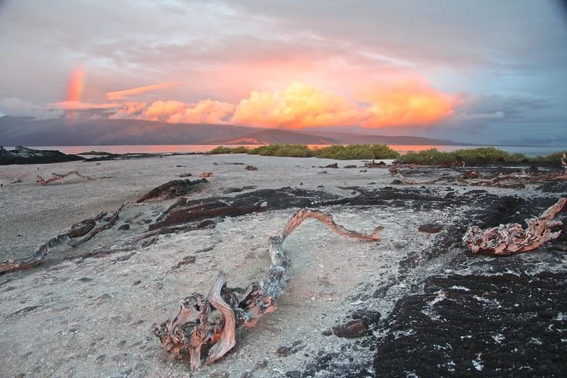 5 Day Galapagos Cruise: Your Ultimate Guide to Adventure and Wildlife