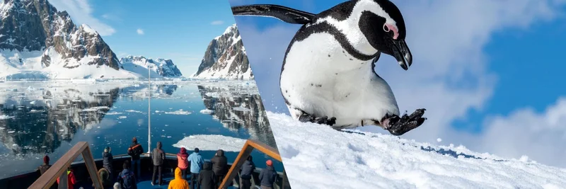 Explore Antarctic Cruises: Save Up to $8,899!