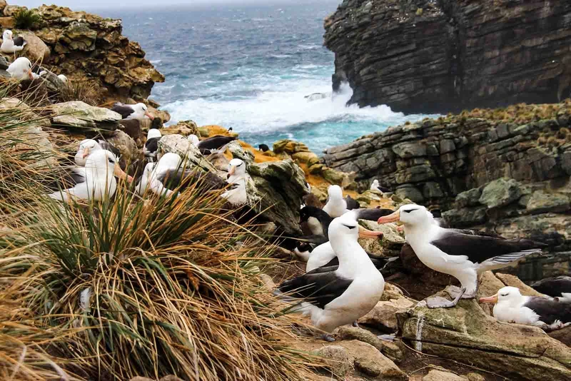 Classic Antarctica Air-Cruise