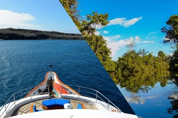 From the Amazon to the Galapagos: The Power of Boutique Cruising