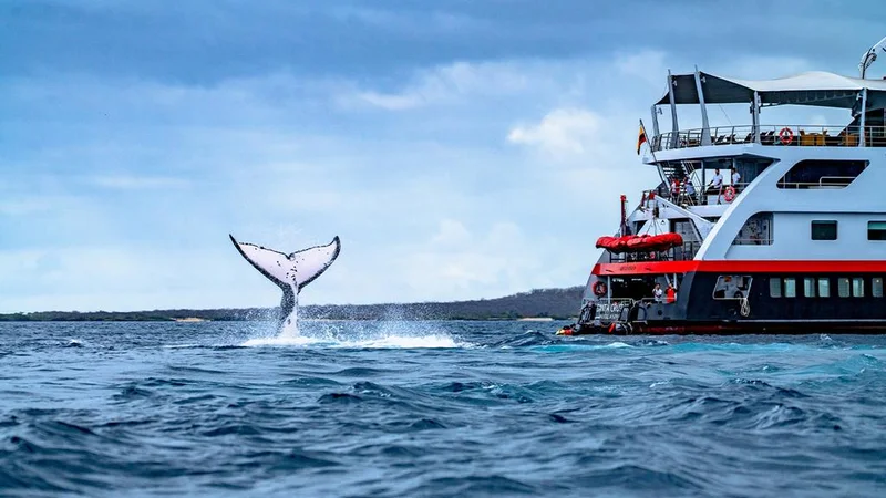Galápagos: The original eco-adventure