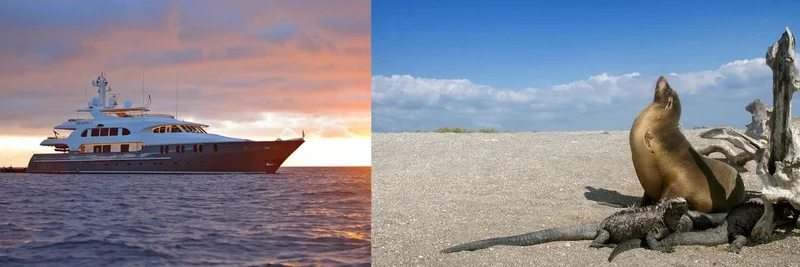 Galapagos Islands in Luxury: Wildlife, Small Ships and the Reality of Exploring Ecuador’s Remote Archipelago