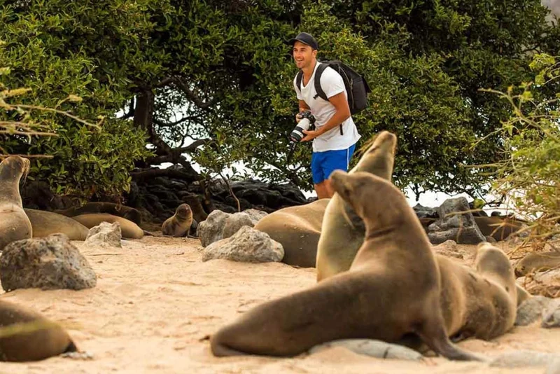 4 day wildlife tour in the Galapagos Islands on board the Anahi catamaran