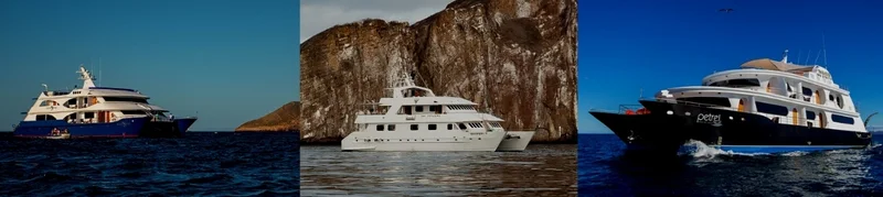 Best Galapagos Islands Tours for Seniors: Luxury Options in 2026