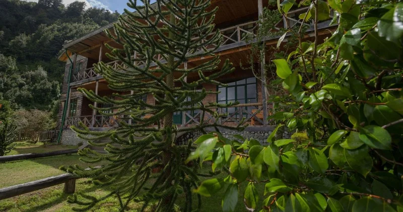 Garden | Mitico Puelo Lodge Garden | Mitico Puelo Lodge