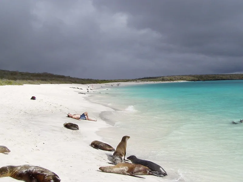 Bahia Gardner | Sea Lions | Galapagos Islands Bahia Gardner | Sea Lions | Galapagos Islands