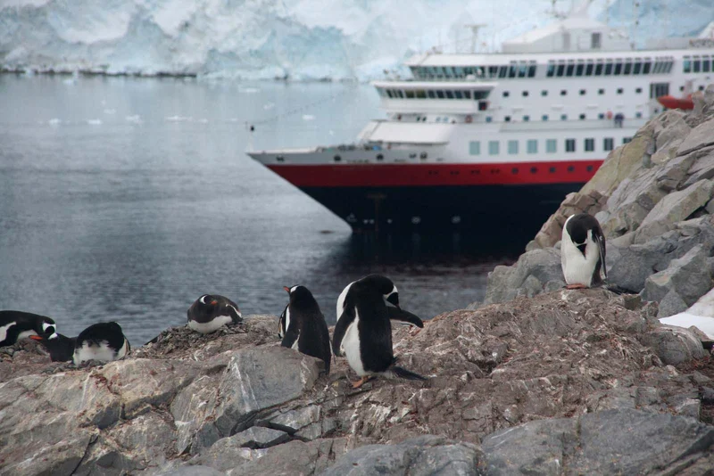 Best small cruise ship experiences to Antarctica