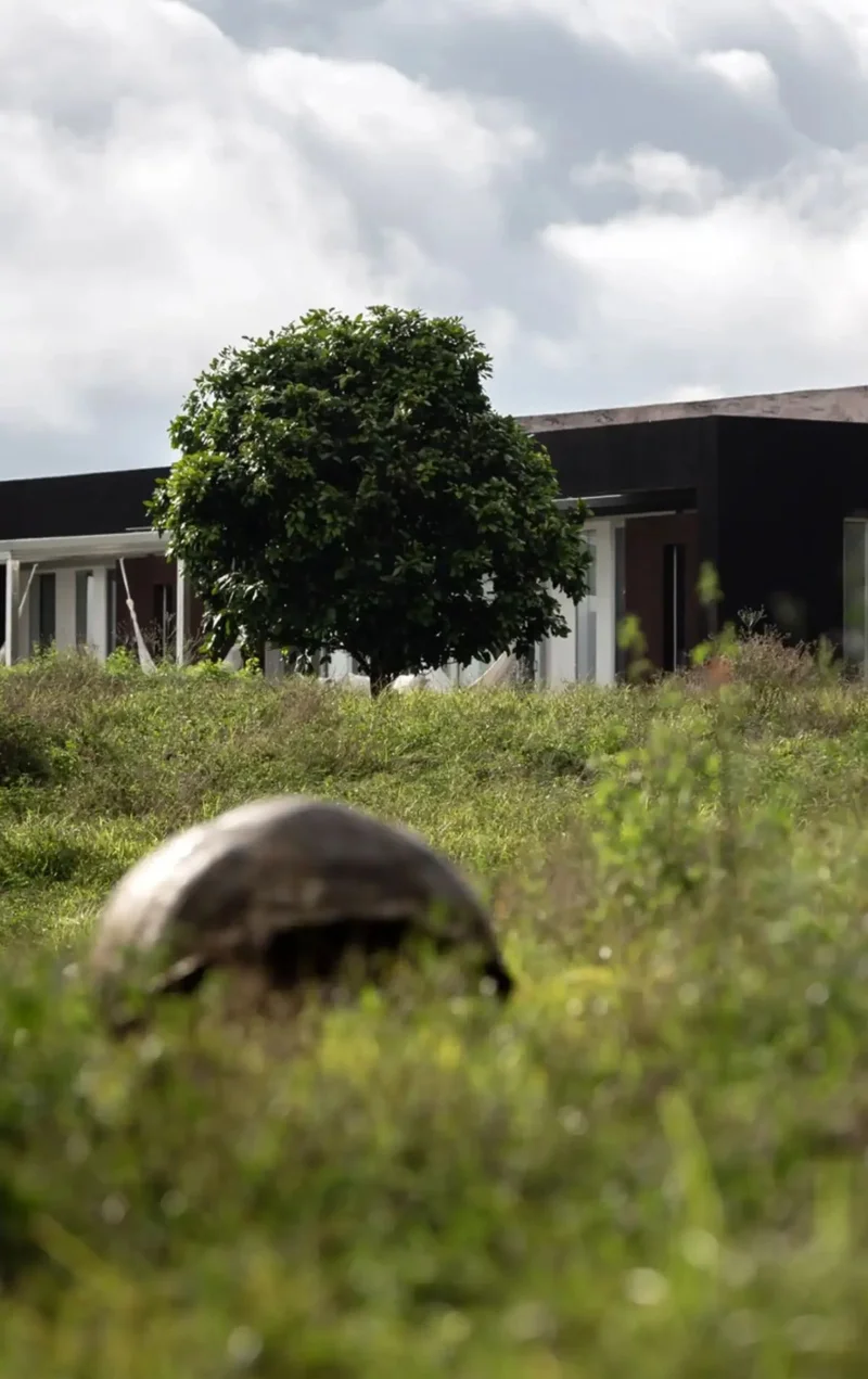 Green Buildings | Montemar Eco Luxury Villas