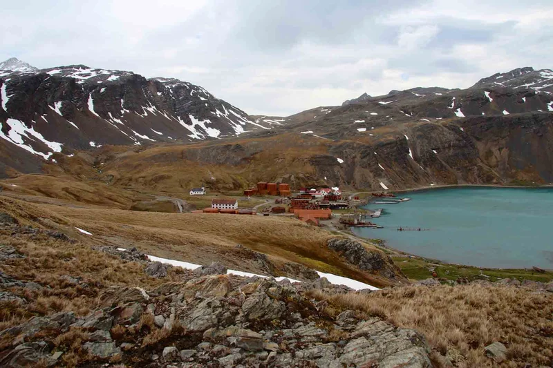 The Epic Antarctica and South Georgia Adventure