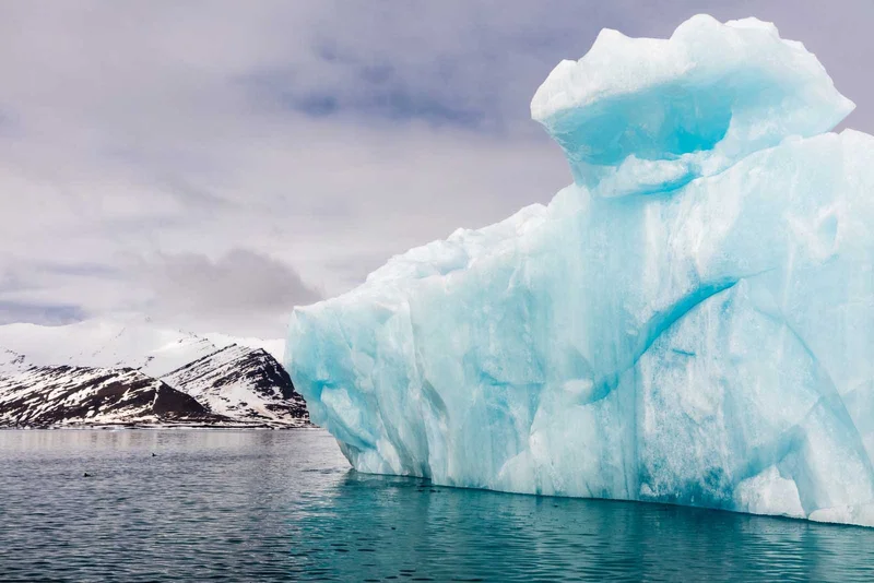 North Spitsbergen - Arctic Spring , Birding Special