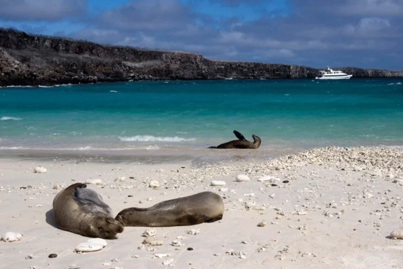 Activities | Integrity 