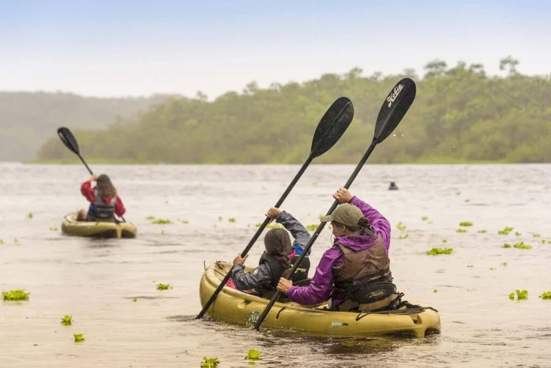 Kayaking Zafiro Amazon Cruise Kayaking Zafiro Amazon Cruise