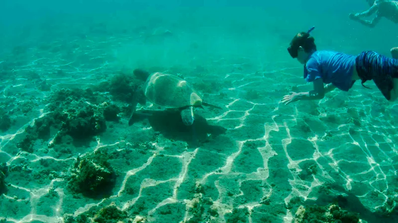 Sullivan Bay | Galapagos