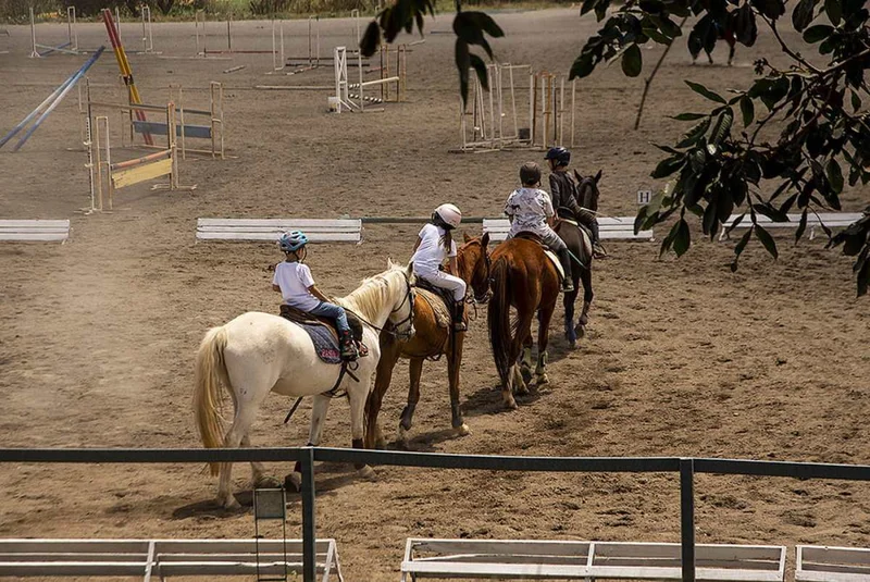 La Palma Polo Hotel | Horseback Experience