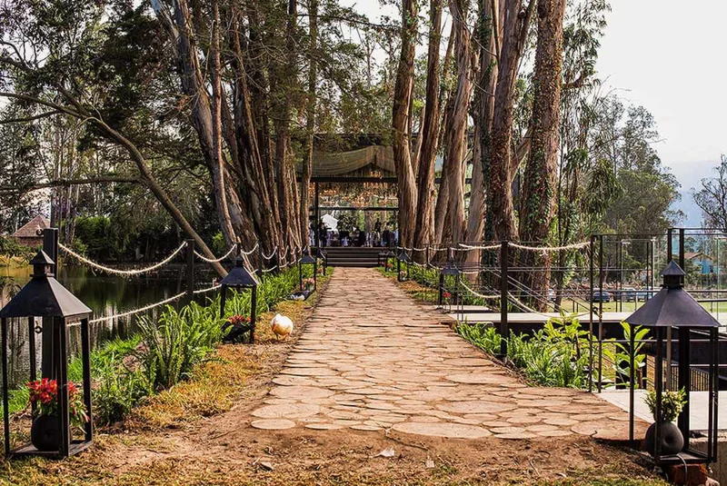 La Palma Polo Hotel | Stone Walkway Surrounded by Trees